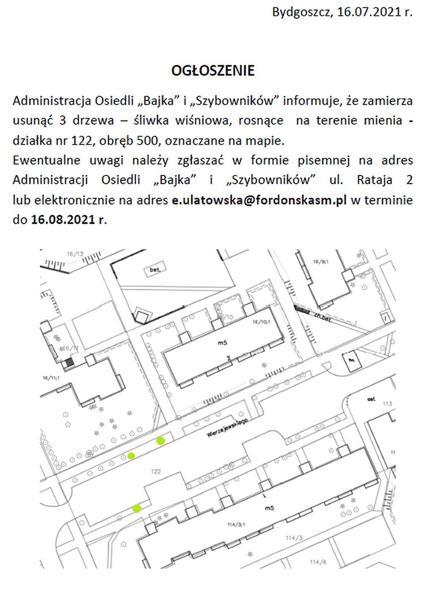 FSM będzie wycinać drzewa w Fordonie. Sprawdź, gdzie. Mieszkańcy mogą zgłaszać uwagi