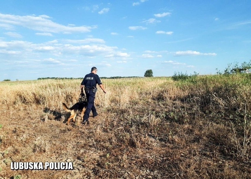 Tak wyglądały poszukiwania Krzysztofa Żyndula w okolicach...