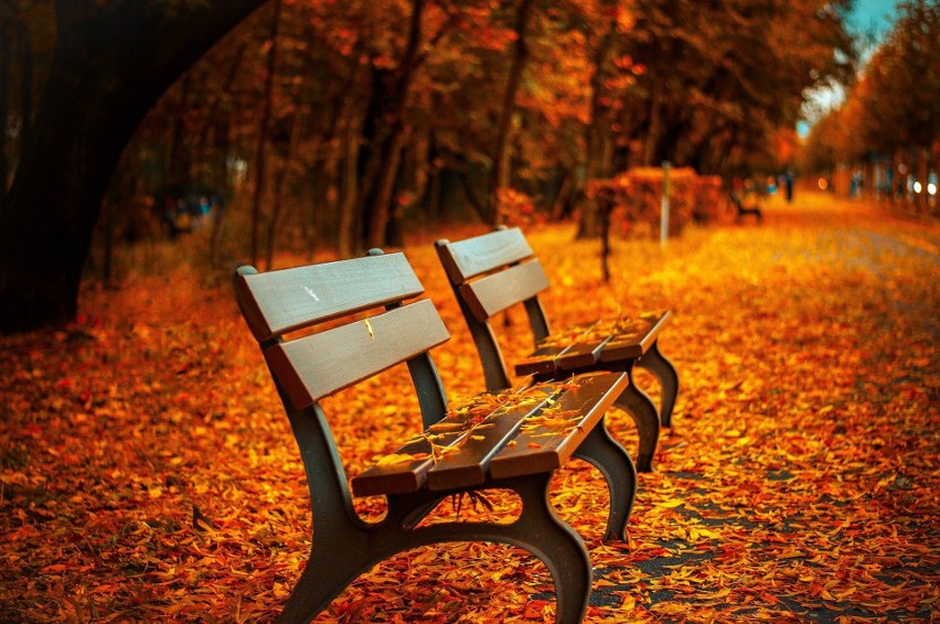 Równonoc jesienna rozpoczyna kalendarzową jesień