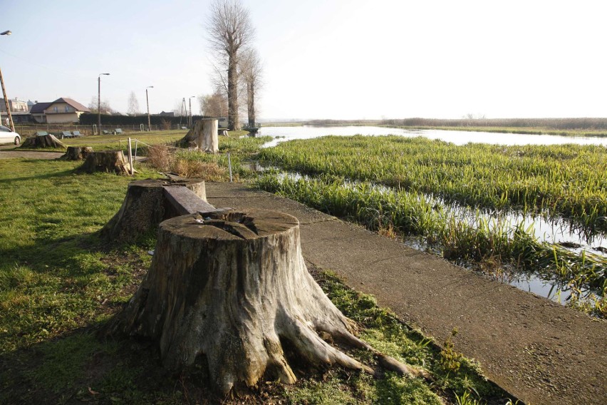 Ogromna wieża widokowa stanie niedaleko rzeki Narew. Stąd będzie można podziwiać piękno przyrody [ZDJĘCIA]