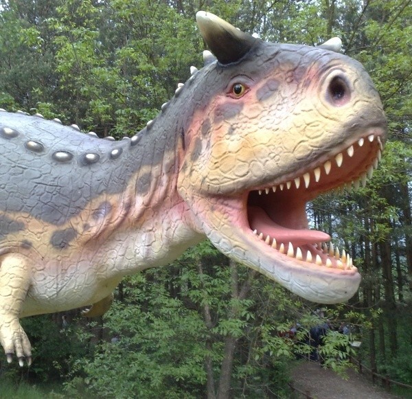 Dinozaury z Jurowiec spełniły funkcję integracyjną