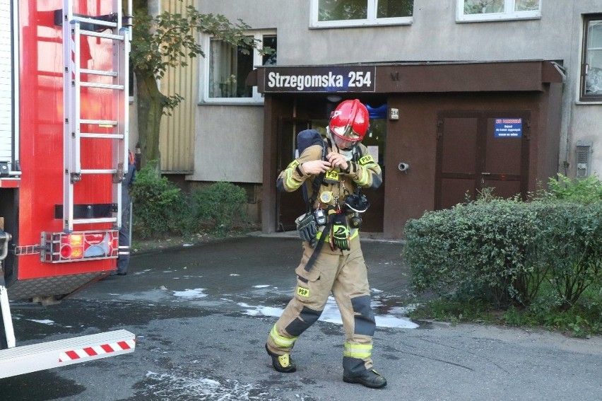 Mieszkanie na 5 pietrze uległo całkowitemu spaleniu. Wypadły...