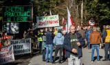 "Nasz krzyk rozpaczy będzie słyszalny" - powstała Samorządowa Inicjatywa Obrony Polskich Lasów  
