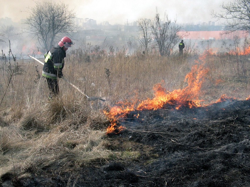 Bezsensowne wypalanie traw to zmora nie tylko w Sosonowcu