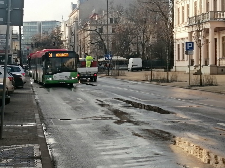 Skończyły się prace na Krakowskim Przedmieściu w Lublinie związane z nasadzaniem zieleni. Kierowcy odzyskali jeden pas