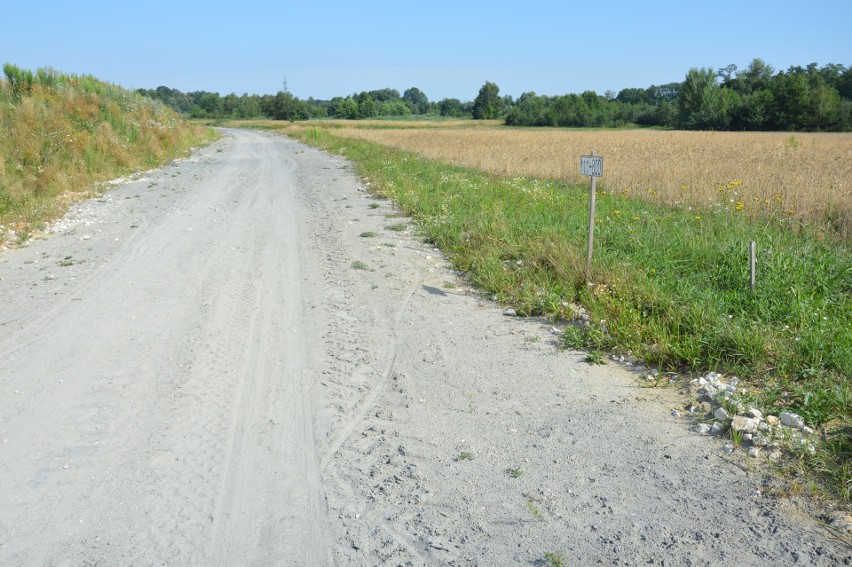 Dąbrowa Tarnowska. Podpisano umowę na dokończenie budowy obwodnicy