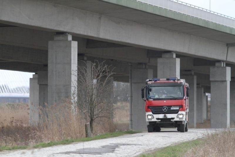 Wrocław: Kłęby dymu na AOW. Duży pożar traw za mostem Rędzińskim (ZDJĘCIA)