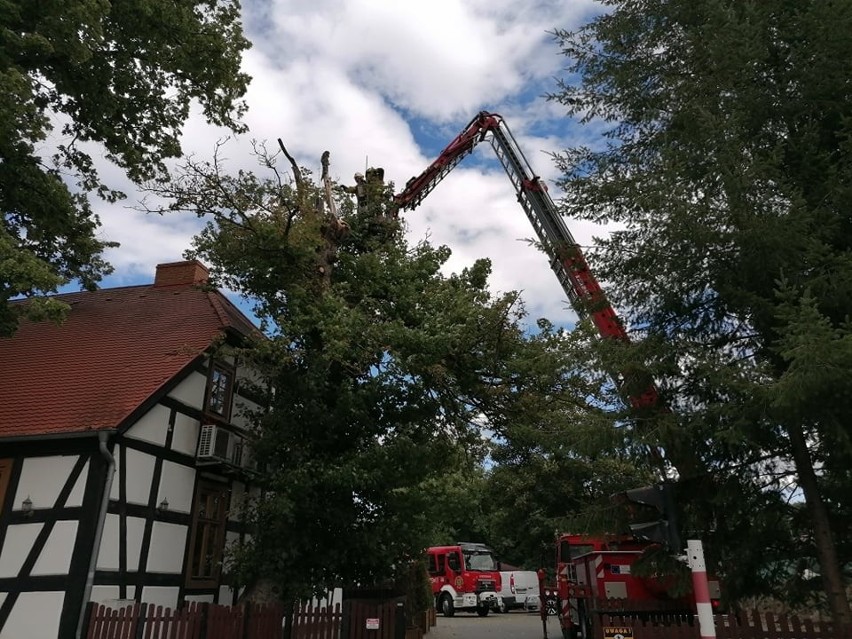 Strażacy w Łagowie usuwają gałęzie drzewa, które stwarzają...