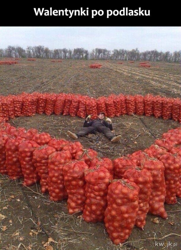 Sylwester na Podlasiu do gratka nawet dla gwiazd światowej...