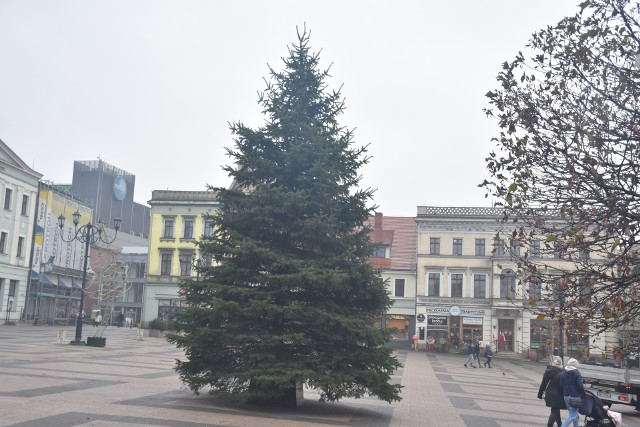 Rybnik ma już swoją choinkę na święta. Zobacz kolejne zdjęcia. Przesuwaj zdjęcia w prawo - naciśnij strzałkę lub przycisk NASTĘPNE