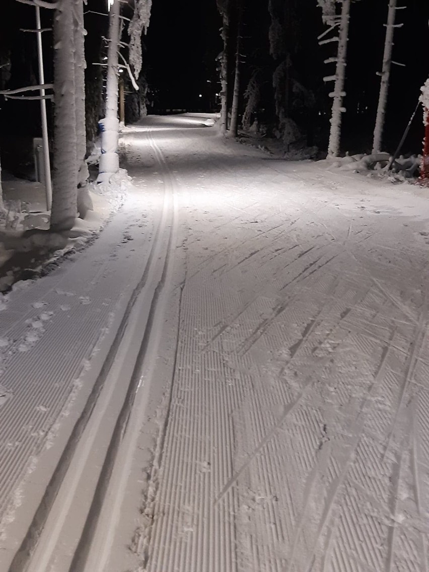 Podhale. Narciarze zjazdowi martwią się czy sezon na stoku w ogóle ruszy... Biegacze narciarscy już rozpoczęli zabawę na śniegu!