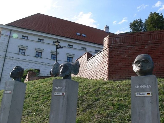 Prace muszą nawiązywać do wystawy rzeźb „Piękne Małpy Europy” autorstwa Adama Spały, znajdującej się na Dziedzińcu Dolnym Zamku Królewskiego w Sandomierzu.