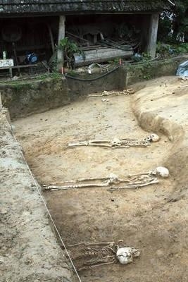 Te szkielety wykopane w Stręgoborzycach trafiły już do Instytutu Antropologii Uniwersytetu Jagiellońskiego Fot. Barbara Ciryt