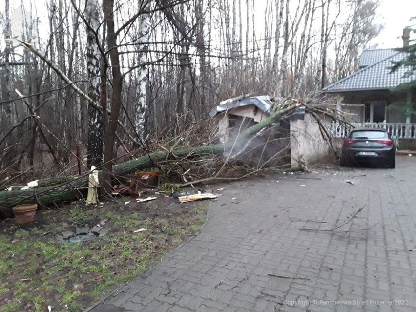 Orkan Eunice w Łodzi i regionie. Wiatr zrywa dachy, linie energetyczne i łamie gałęzie drzew