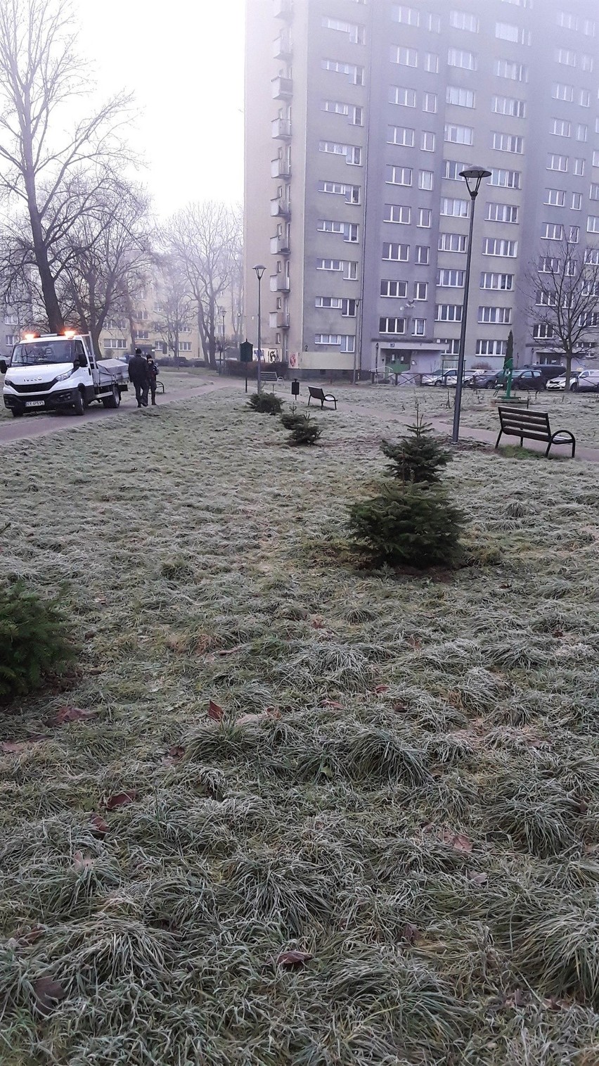 Zarząd Zieleni Miejskiej w Krakowie oraz Miejskie...