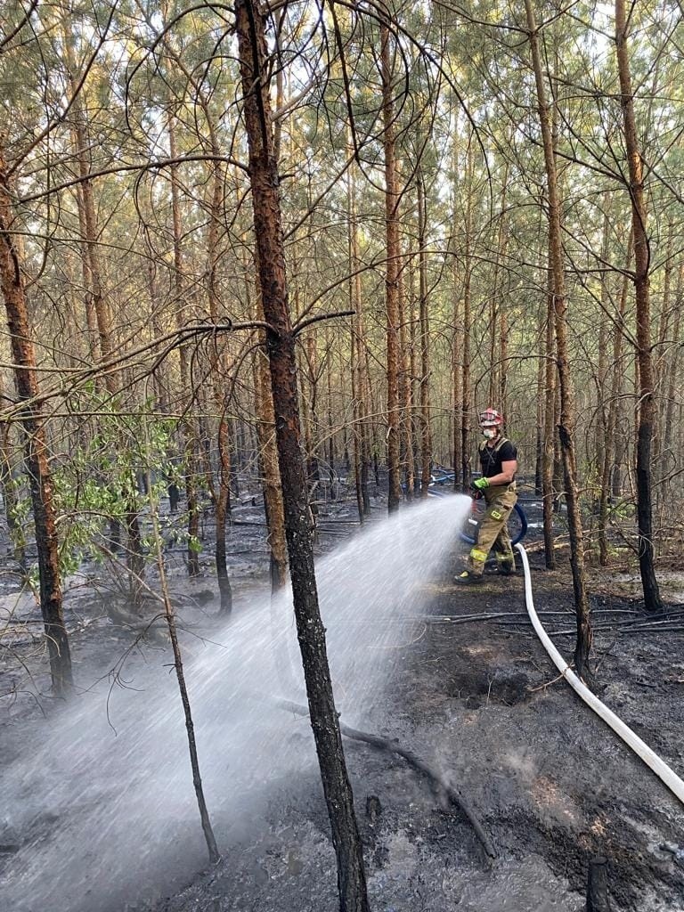 Strażacy gaszący pożar lasu otrzymali też wsparcie z...