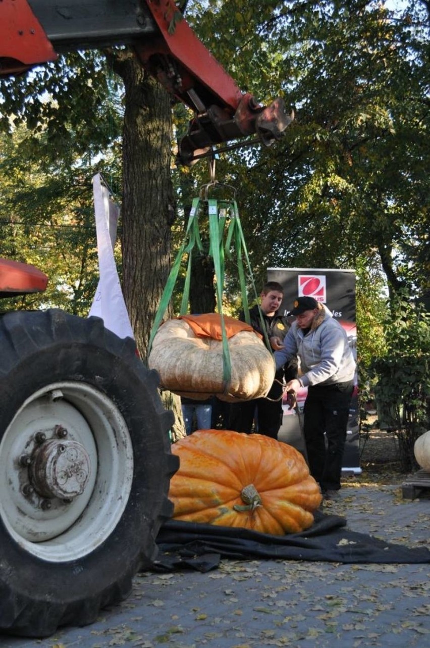 Dzień Korbola 2015 w Grzybnie