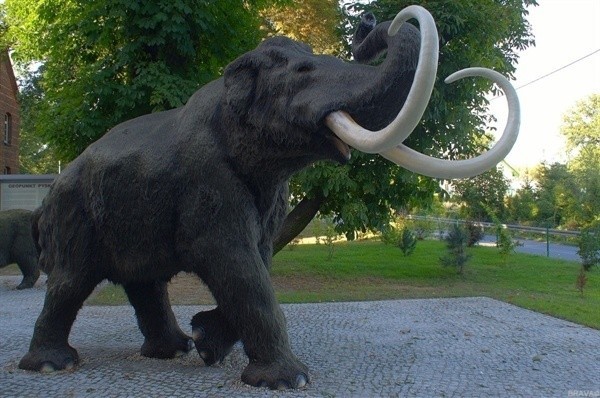 Czy taki model mamuta - jak ten z Geoparku w Pyskowicach -...