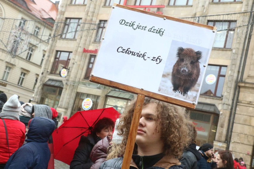 "Sto lat, niech ryją, ryją nam!" We Wrocławiu odbył się protest w obronie dzików (FILM, ZDJĘCIA)