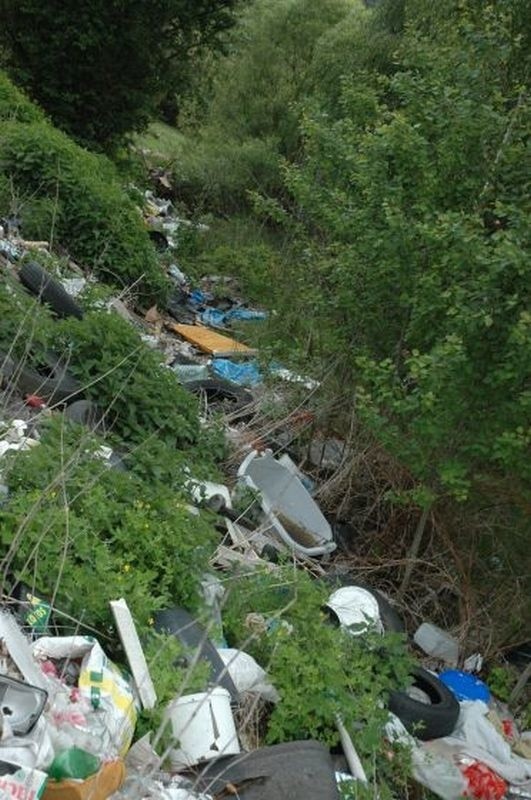 Bulwersujące śmietnisko w Skorzeszycach w podkieleckiej gminie Górno.