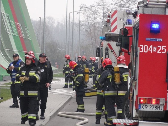 Zdjęcia dzięki uprzejmości serwisu RoadSafe