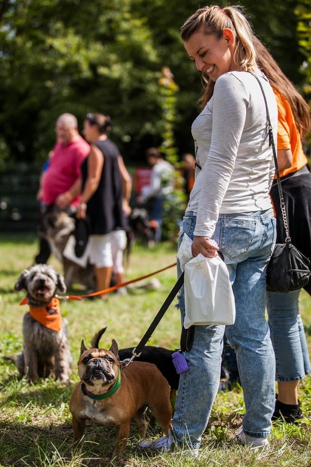 otwarcie parku kynologicznegobudżet partycypacyjny, park dla psów, skrzyżowanie powstańców wielkopolskich i  Wyszyńskiego