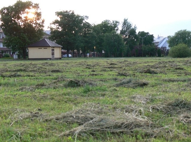 Tak wygląda skoszona dwa dni temu łąka tuż obok ulicy Konfederacji Dzikowskiej&#8230;