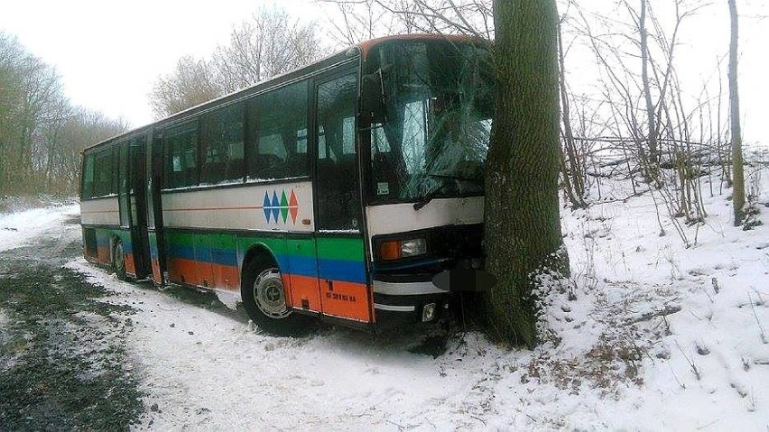 W Lejkowie autobus uderzył w drzewo
