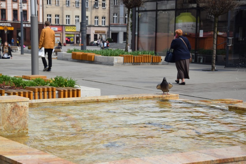 Fontanna na placu Kwiatowym w Katowicach