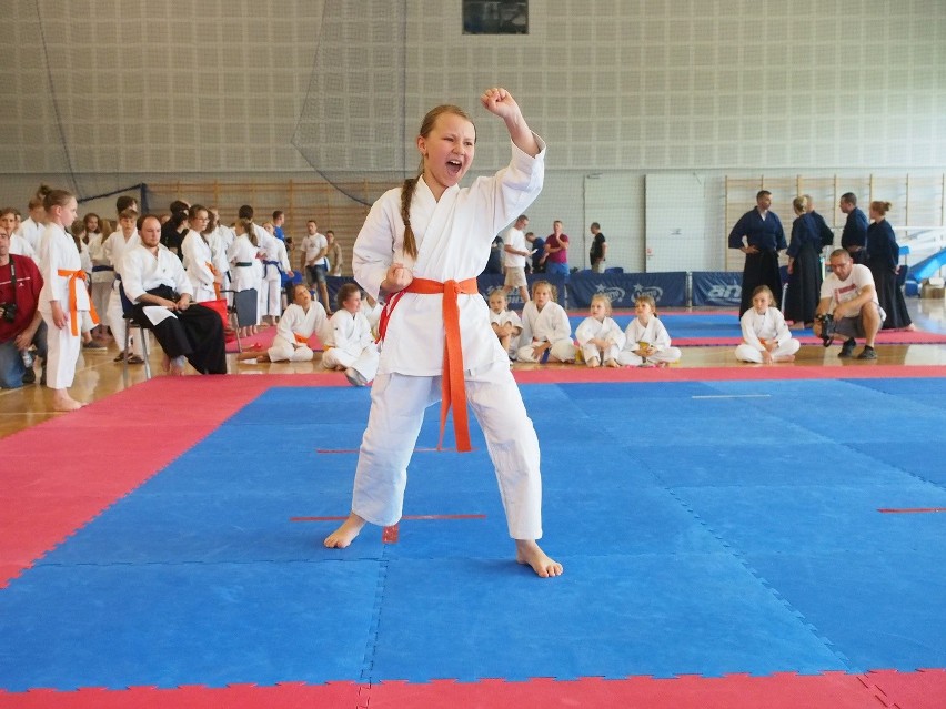 Grad medali krakowskich karateków w Bytomiu