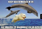 Memy o pracy. "Uwielbiam ciężką pracę, mogę na nią patrzeć godzinami" 