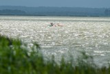 Szkwał na jeziorze Gardno. Kajakarze w wodzie (zdjęcia)