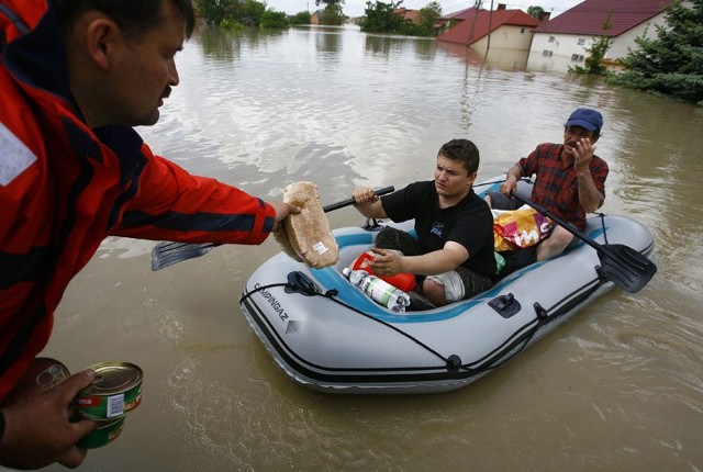 Pierwsza nagroda fotoreportera NowinKrzysztof Lokaj, fotoreporter Nowin zająl pierwsze miejsce w prestizowym konkursie fotografii prasowej BZWBK Press foto.Nagrodzony zostal jego fotoreportaz zrobiony podczas zeszlorocznej powodzi w Tarnobrzegu.