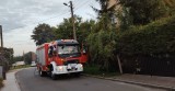 Gubin. Palili śmieci na podwórku. Wezwano straż pożarną oraz policję