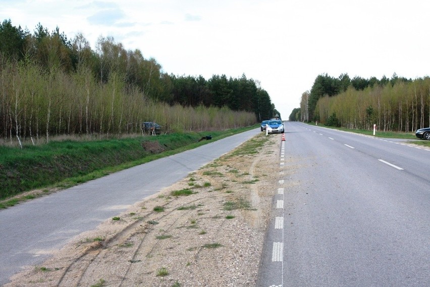 Trasa Hajnówka - Dubicze Cerkiewne. Przejechał ścieżkę, rów i wylądował w zagajniku (zdjęcia)