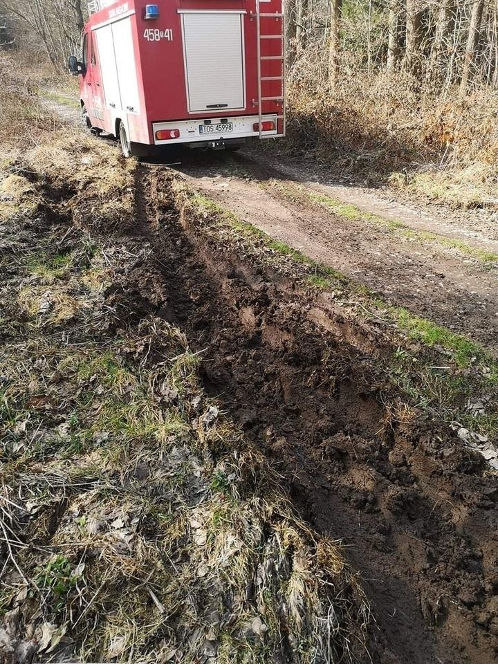 Poszukiwania zaginionego, mieszkańca gminy Waśniów  zakończone. Znaleziono ciało mężczyzny (ZDJĘCIA)