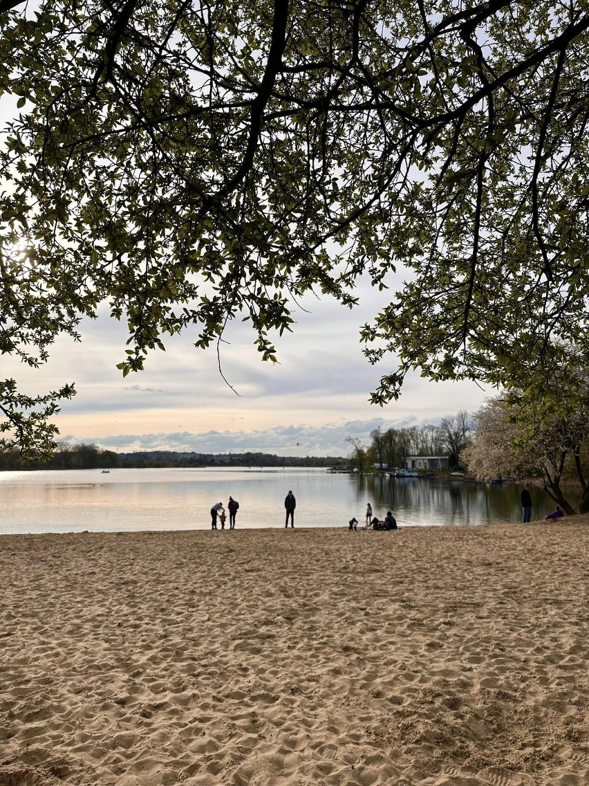Kraków. Na Bagrach pierwsza plażowa pogoda w tym sezonie. I pięknie kwitną drzewa