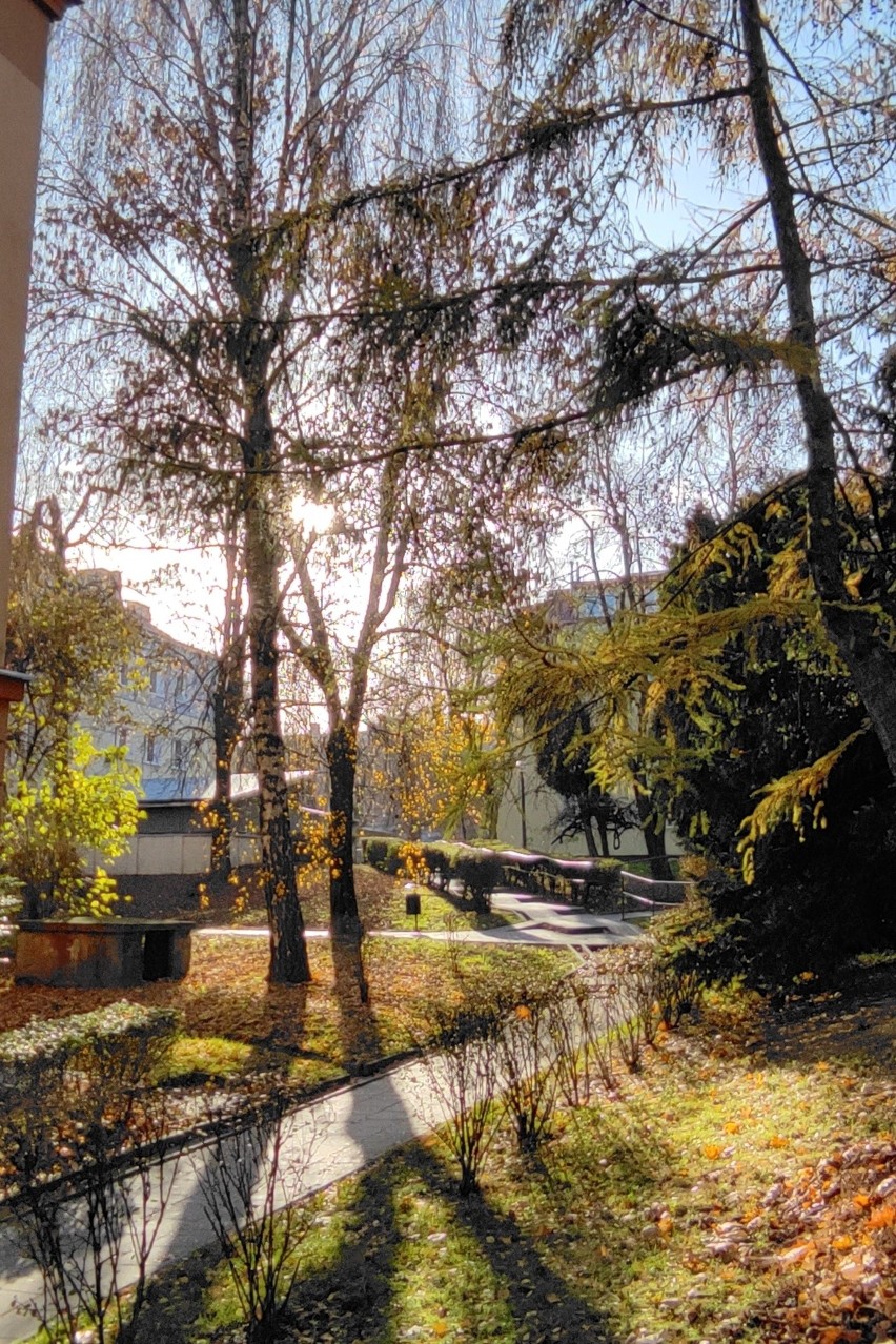 Fotograficzny spacer po lubelskiej Wieniawie. Zobacz dzielnicę w jesiennych kadrach