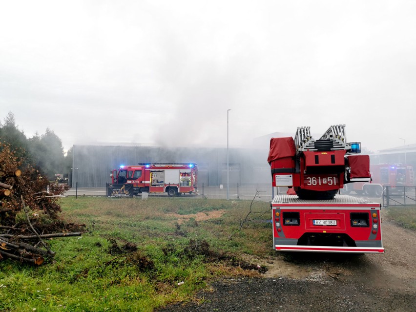 Pożar hali w Hurku pod Przemyślem. Ogień gaszą strażacy z PSP i OSP [ZDJĘCIA]