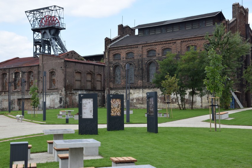 Muzeum Śląskie i wystawa "Zaczęło się od ziarna… Historia...