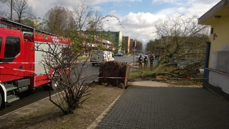 Drzewo runęło na samochód osobowy zaparkowany przy ul....