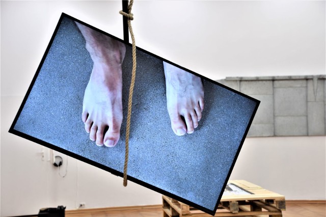2020 Biennale Zielona Góra 2020 zapowiadała wystawa pamięci Zenona Polusa w Galerii BWA - „Lot Ikara” (12 września – 4 października 2020 r.)