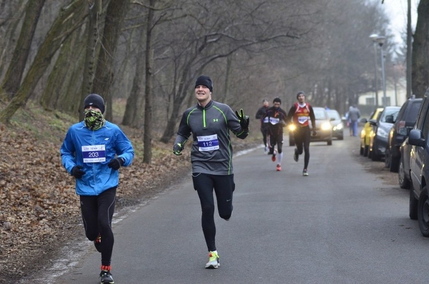 Enea Tri Tour Winter Run w Poznnaiu: Biegacze ścigali się na...