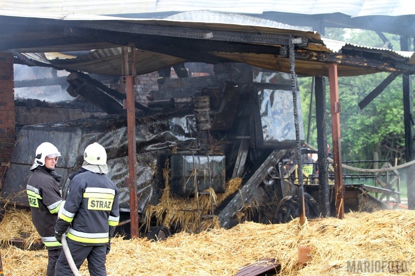 Pożar stodoły i chlewni w Kotorzu Małym. Spłonął kombajn, ranny został właściciel gospodarstwa 