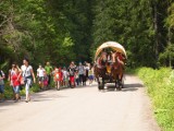 Zakopane. Dwóch fiakrów oskarżonych o znęcanie się nad końmi 