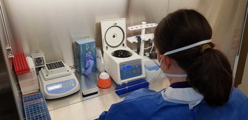 W Kędzierzynie-Koźlu powstało nowe laboratorium do badania próbek na obecność koronawirusa