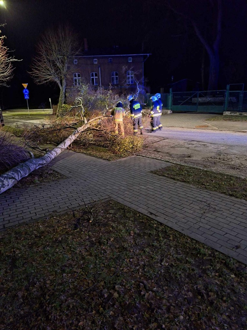 Strażacy z OSP w Połczynie-Zdroju byli wzywani do usuwania...