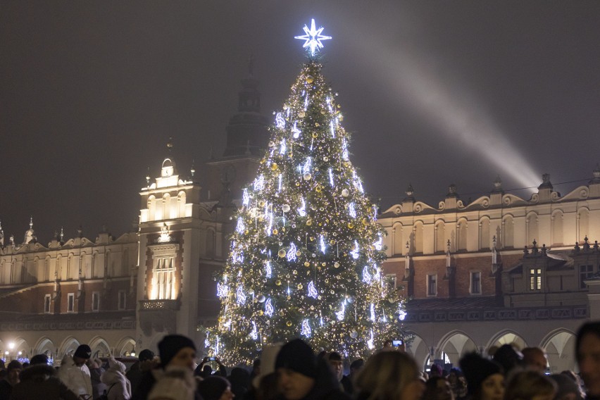 Krakowski Rynek Główny zdobi 15-metrowy świerk, którego...