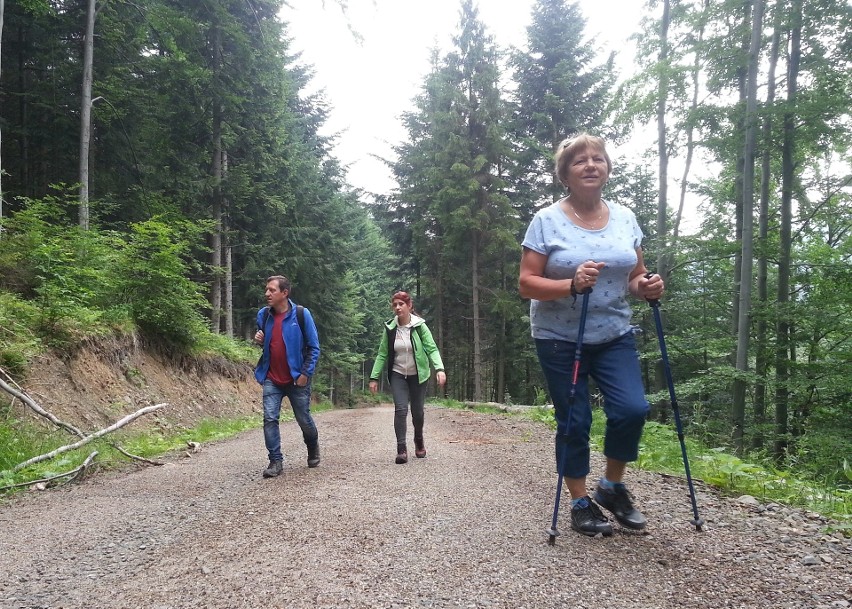 Odkryj Beskid Wyspowy. Pokonali Jasień i pięć malowniczych „wysp” [ZDJĘCIA]