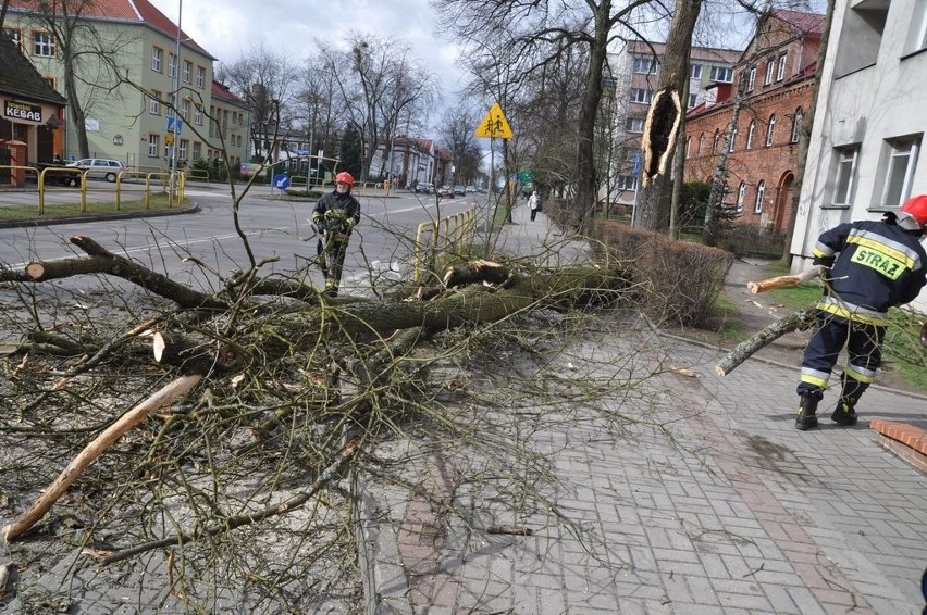 Strażacy usuwają drzewo, jakie runęło na ulicę Kościuszki.